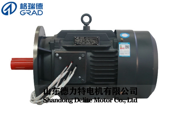 YDT雙速三相異步電動(dòng)機