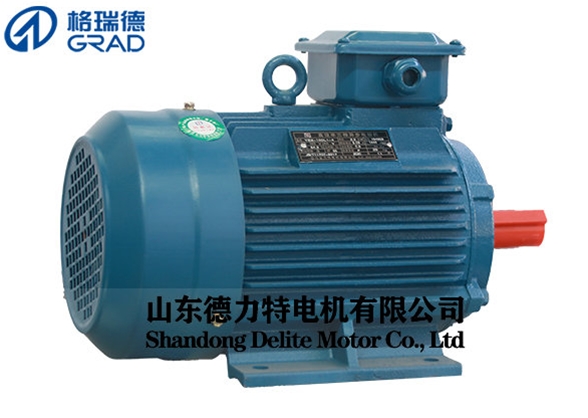 YE2高效率三相異步電動(dòng)機-100L