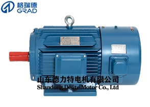 YVF變頻調速三相異步電動(dòng)機