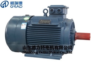 YD雙速三相異步電動(dòng)機
