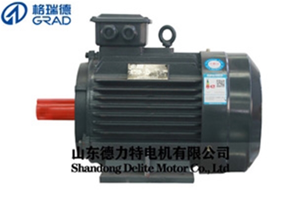 YDT雙速三相異步電動(dòng)機-132S