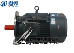 YDT雙速三相異步電動(dòng)機