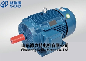 YDT變極多速三相異步電動(dòng)機